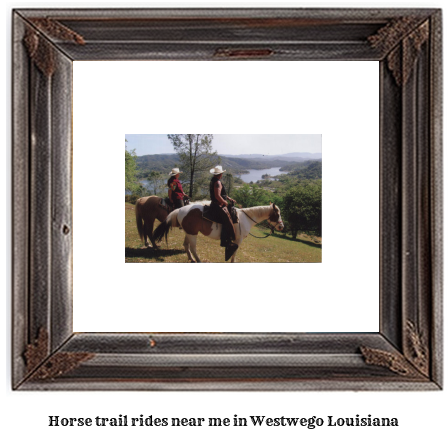 horse trail rides near me in Westwego, Louisiana